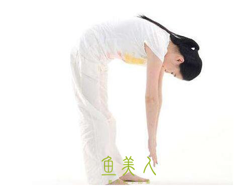 专业减肥