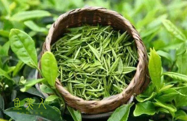 香蕉在线观看美体食物
