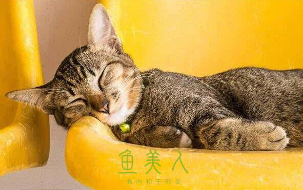 香蕉在线观看觉